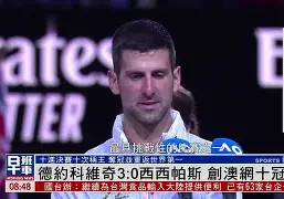 2024澳网德约科维奇对阵辛纳录像 2024澳网德约科维奇对阵辛纳录像